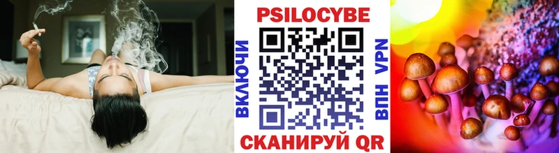 ссылка на мегу ТОР  Кашин  Галлюциногенные грибы Psilocybine cubensis 